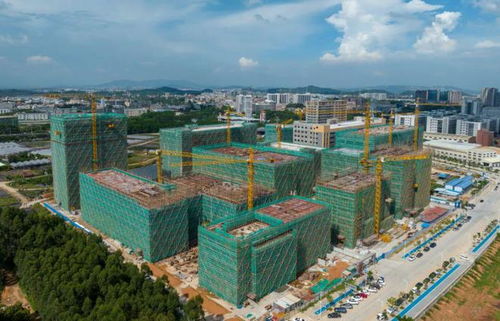 百千萬 新氣象③ 大洲社區(qū) 產(chǎn)業(yè)發(fā)展為先 品質環(huán)境為要