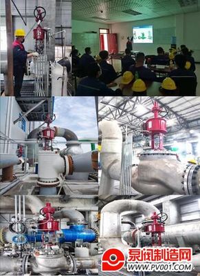 紐托克防喘振閥助力世界首套荒煤氣制乙二醇項目投產成功